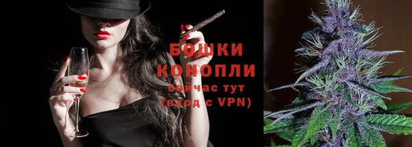 гашик Белокуриха