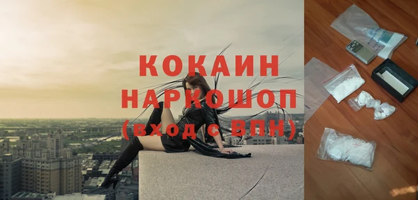 шишки Армянск