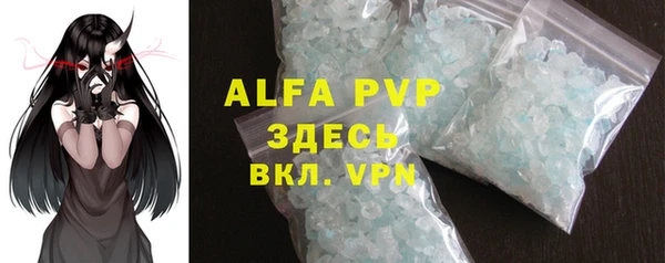 гашик Белокуриха