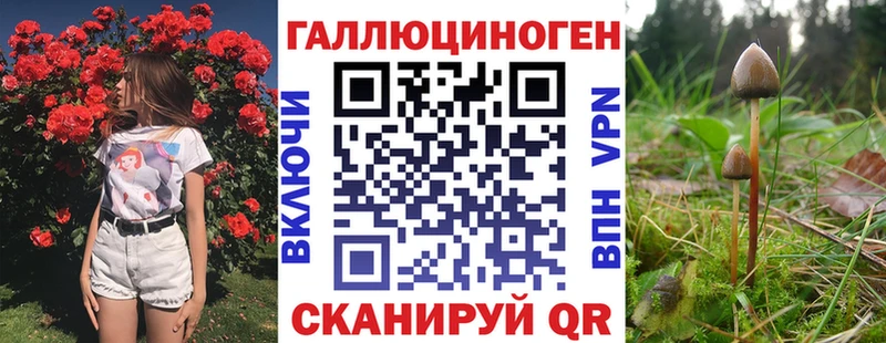 Псилоцибиновые грибы Psilocybe  Купить  Губаха 